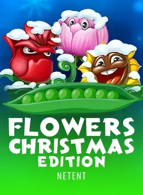 Flowers Christmas Edition